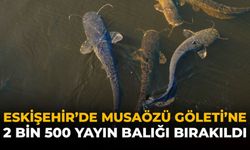 Eskişehir'de Musaözü Göleti'ne 2 Bin 500 Yayın Balığı Bırakıldı