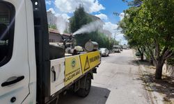 Eskişehir'de Yaz Boyunca İlaçlama Çalışmaları Aralıksız Sürecek