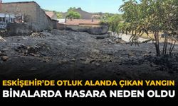 Eskişehir’de Otluk Alanda Çıkan Yangın Binalarda Hasara Neden Oldu