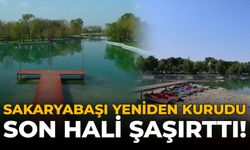 Sakaryabaşı Yeniden Kurudu: Son Hali Şaşırttı!
