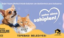 Eskişehir'den 'Satın Alma, Sahiplen' Çağrısı