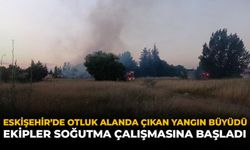 Eskişehir’de Otluk Alanda Çıkan Yangın Büyüdü: Ekipler Soğutma Çalışmasına Başladı