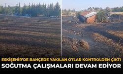 Eskişehir'de Bahçede Yakılan Otlar Kontrolden Çıktı: Soğutma Çalışmaları Devam Ediyor