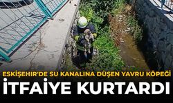 Eskişehir'de Su Kanalına Düşen Yavru Köpeği İtfaiye Kurtardı