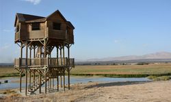 Şehrin Gürültüsünden Uzakta Saklı Bir Cennet: Görenler Gözlerine İnanamıyor
