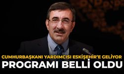Cumhurbaşkanı Yardımcısı Eskişehir'e Geliyor: Programı Belli Oldu