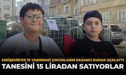 Eskişehir'de 10 Yaşındaki Çocukların Günlük Kazancı Dudak Uçuklattı: Tanesini 15 Liradan Satıyorlar