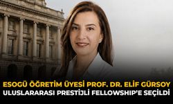 ESOGÜ Öğretim Üyesi Prof. Dr. Elif Gürsoy, Uluslararası Prestijli Fellowship’e Seçildi