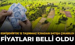 Eskişehir'de 12 Taşınmaz İcradan Satışa Çıkarıldı: Fiyatları Belli Oldu