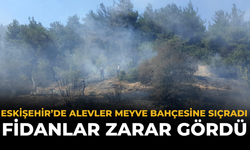 Eskişehir’de Alevler Meyve Bahçesine Sıçradı: Fidanlar Zarar Gördü