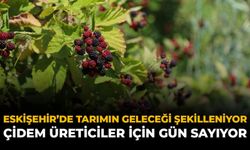Eskişehir'de Tarımın Geleceği Şekilleniyor: ÇİDEM Üreticiler İçin Gün Sayıyor