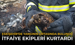 Eskişehir’de Yangının Ortasında Bulundu: İtfaiye Ekipleri Kurtardı