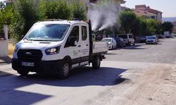 Tepebaşı Belediyesi Yaz Boyunca İlaçlama Çalışmalarına Devam Ediyor