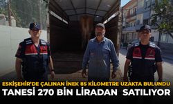 Eskişehir’de Çalınan İnek 85 Kilometre Uzakta Bulundu: Tanesi 270 Bin Liradan Satılıyor