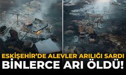 Eskişehir'de Alevler Arılığı Sardı: Binlerce Arı Öldü!