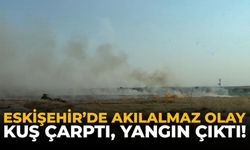 Eskişehir’de Akılalmaz Olay: Kuş Çarptı, Yangın Çıktı!