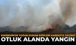 Eskişehir'de Yoğun Duman Ekipleri Harekete Geçirdi: Otluk Alanda Yangın