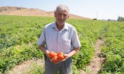 Tepebaşı Belediyesi Erken Uyarı Sistemi Üretim Maliyetini Düşürüyor