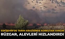 Eskişehir’de Tarım Arazisinde Korkutan Yangın: Rüzgar Alevleri Hızlandırdı
