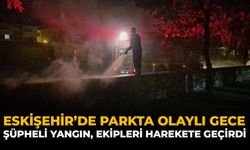 Eskişehir'de Parkta Olaylı Gece: Şüpheli Yangın, Ekipleri Harekete Geçirdi