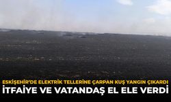 Eskişehir'de Elektrik Tellerine Çarpan Kuş Yangın Çıkardı: İtfaiye ve Vatandaş El Ele Verdi
