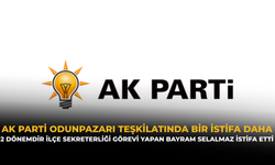 AK Parti Odunpazarı Teşkilatında Bir İstifa Daha