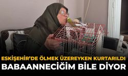 Eskişehir'de Ölmek Üzereyken Kurtarıldı: "Babaanneciğim" Bile Diyor!