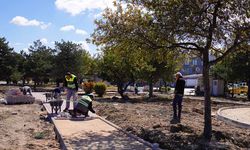 Eskişehir’de Batıkent Parkı Yenileniyor