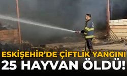 Eskişehir'de Çiftlik Yangını: 25 Hayvan Öldü!