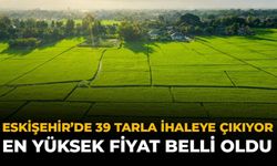 Eskişehir’de 39 Tarla İhaleye Çıkıyor: En Yüksek Fiyat Belli Oldu