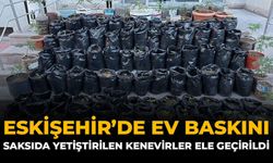 Eskişehir Ev Baskını: Saksılarda Yetiştirilen Kenevirler Ele Geçirildi