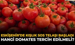 Eskişehir’de Kışlık Sos Telaşı Başladı: Hangi Domates Tercih Edilmeli?