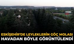 Eskişehir’de Leyleklerin Göç Molası Havadan Böyle Görüntülendi