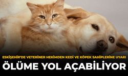 Eskişehir’de Veteriner Hekimden Kedi Ve Köpek Sahiplerine Uyarı: Ölüme Yol Açabiliyor