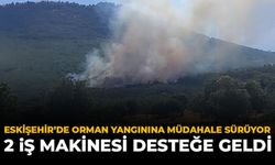Eskişehir'de Orman Yangınına Müdahale Sürüyor: 2 İş Makinesi Desteğe Geldi