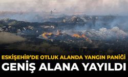 Eskişehir’de Otluk Alanda Yangın Paniği: Geniş Alana Yayıldı