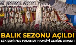 Balık Sezonu Açıldı: Eskişehir’de Palamut Hamsiyi Geride Bıraktı