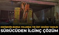 Eskişehir-Bursa Yolunda Tır Üst Geçide Takıldı: Sürücüden İlginç Çözüm