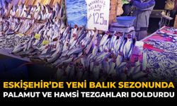 Eskişehir'de Yeni Balık Sezonunda Palamut ve Hamsi Tezgahları Doldurdu