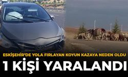 Eskişehir'de Yola Fırlayan Koyun Kazaya Neden Oldu: 1 Kişi Yaralandı