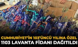 Cumhuriyet’in 103’üncü Yılına Özel 1103 lavanta fidanı dağıtıldı