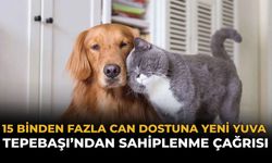 15 Binden Fazla Can Yeni Yuvasına Kavuştu