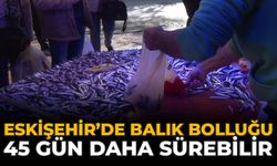 Eskişehir’de Balık Bolluğu 45 Gün Daha Sürebilir