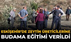 Eskişehir'de Zeytin Üreticilerine Budama Eğitimi Verildi
