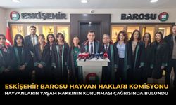 Hayvanların Yaşamı Gasp Ediliyor!