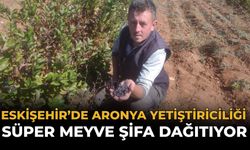 Eskişehir'de Aronya Yetiştiriciliği: “Süper Meyve” Şifa Dağıtıyor