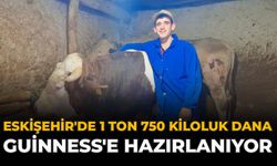Eskişehir'de 1 Ton 750 Kiloluk Dana Guinness'e Hazırlanıyor