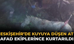 Eskişehir’de Kuyuya Düşen At AFAD Ekiplerince Kurtarıldı