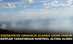 Eskişehir'de Ormanlık Alanda Çıkan Yangın Ekipler Tarafından Kontrol Altına Alındı