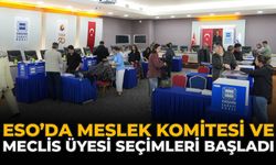 ESO’da Meslek Komitesi Ve Meclis Üyesi Seçimleri Başladı